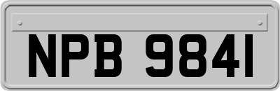 NPB9841