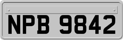NPB9842