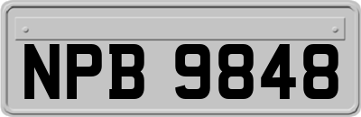 NPB9848