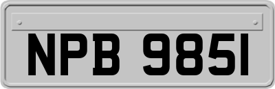 NPB9851