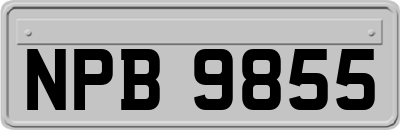 NPB9855