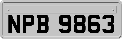NPB9863