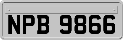 NPB9866