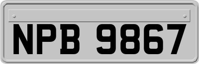 NPB9867