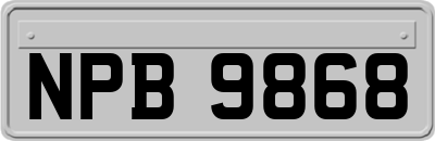 NPB9868
