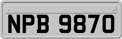 NPB9870