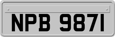 NPB9871