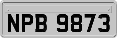 NPB9873