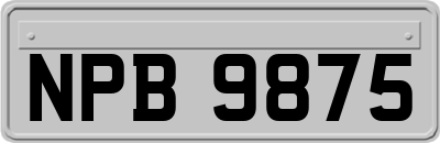 NPB9875