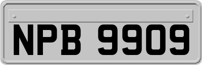 NPB9909