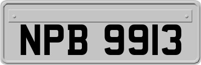 NPB9913