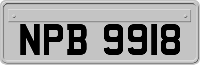 NPB9918