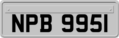NPB9951