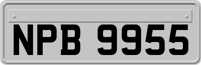 NPB9955