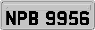 NPB9956