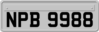 NPB9988