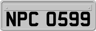 NPC0599
