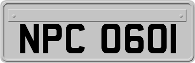 NPC0601