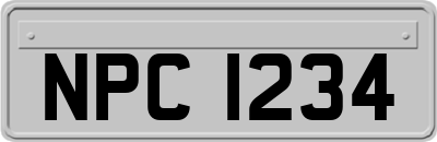 NPC1234