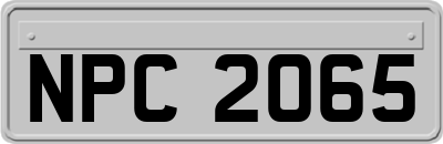 NPC2065