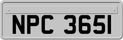 NPC3651