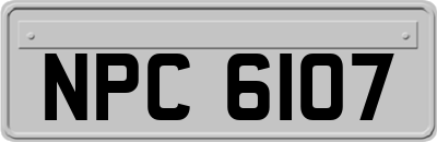 NPC6107