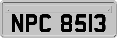 NPC8513