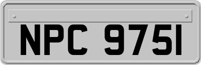 NPC9751