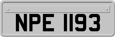 NPE1193