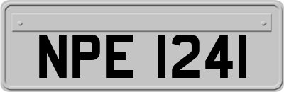 NPE1241