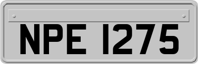 NPE1275