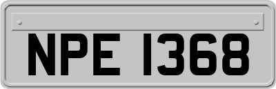 NPE1368