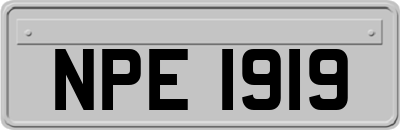 NPE1919