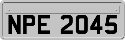 NPE2045