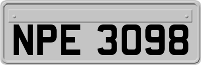 NPE3098