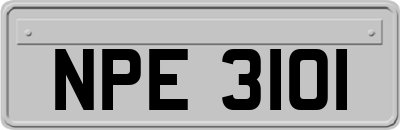 NPE3101