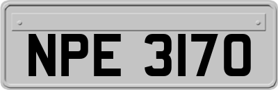 NPE3170