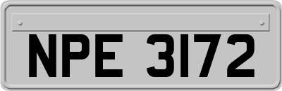 NPE3172