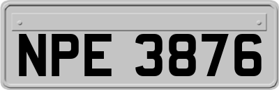NPE3876