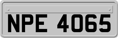 NPE4065