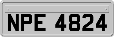 NPE4824