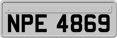 NPE4869
