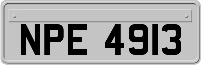 NPE4913