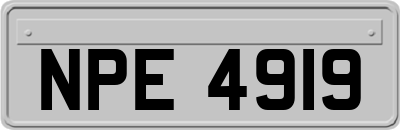 NPE4919