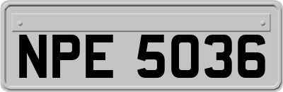 NPE5036