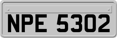 NPE5302