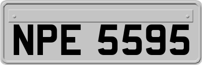 NPE5595
