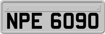 NPE6090