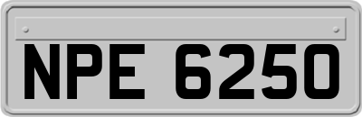 NPE6250