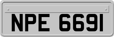 NPE6691